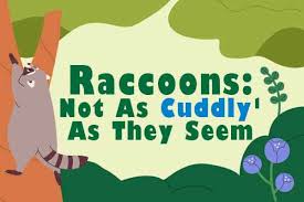 大卫熊英语如何免费兑换动物 第1张