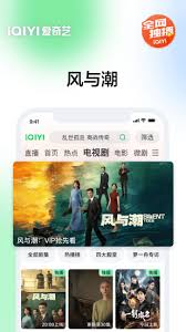 爱奇艺视频搜索入口在哪 第1张