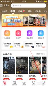 猫眼电影app如何查看电影语种和字幕 第2张