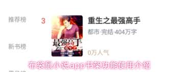 布袋鼠小说app如何将书添加到书架 第3张 布袋鼠小说app如何将书添加到书架 第3张