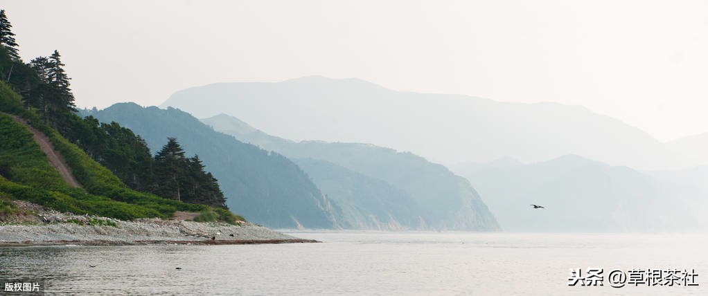 ​五位老知青忆往昔：说起当年的救命恩人，他们几度哽咽 第3张