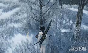 燕云十六声河西大侠奇遇怎么做 第2张