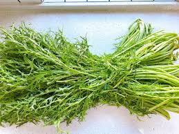 冬天腌制雪里蕻时上面压重物的主要目的是什么 第3张