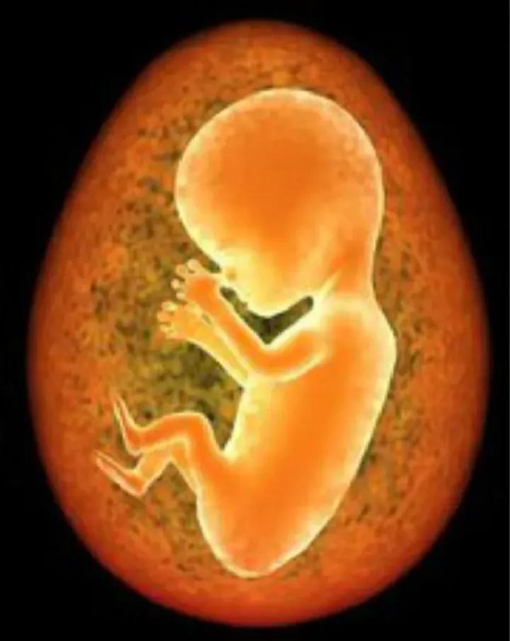 人死后去了哪里? 第5张 人死后去了哪里? 第5张