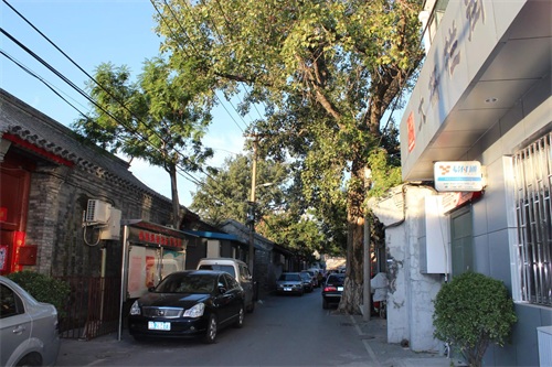 ​「松柏」北京八大胡同 第10张