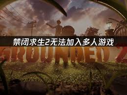 禁闭求生2无法联机怎么解决 第3张