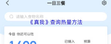 真我app如何查询热量 第1张
