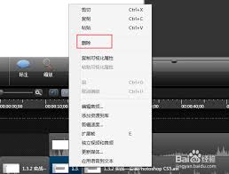 Camtasia裁剪视频后合并不居中怎么办 第2张