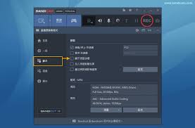 Bandicam如何添加鼠标点击效果 第2张