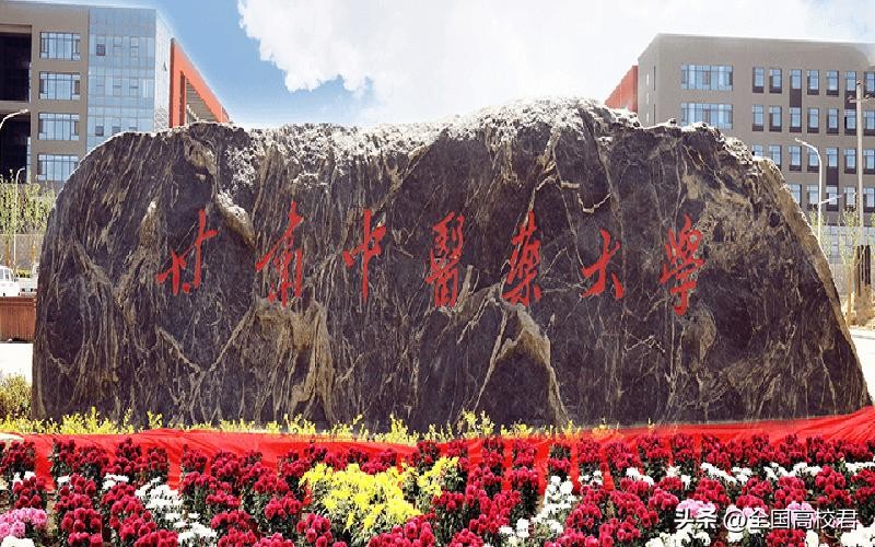 ​2023年甘肃省大学排名一览表（校友会版） 第9张