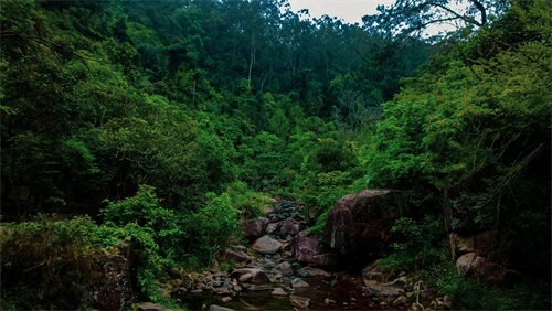 ​厦门天竺山森林公园 第23张