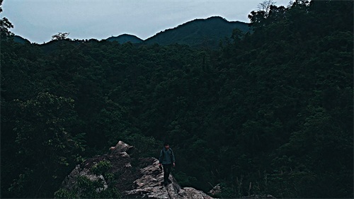 ​厦门天竺山森林公园 第7张