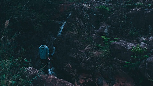 ​厦门天竺山森林公园 第15张