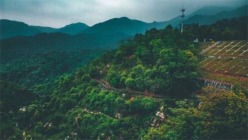 ​厦门天竺山森林公园 第24张