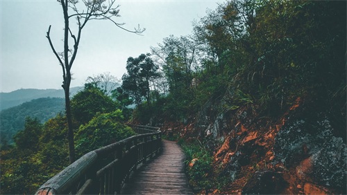 ​厦门天竺山森林公园 第21张