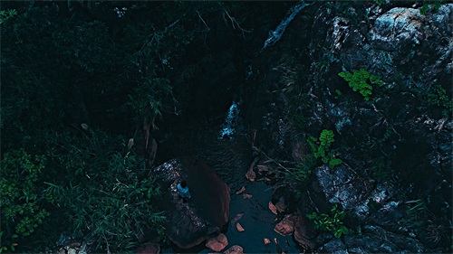 ​厦门天竺山森林公园 第16张