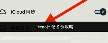 如何备份emmo日记 第1张