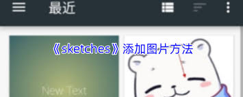 sketches如何添加图片 第3张