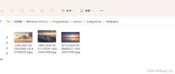 联想乐商店如何查看收藏壁纸 第3张 联想乐商店如何查看收藏壁纸 第3张