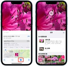 iPhone17pro怎么看图查询识别图片内信息 第2张