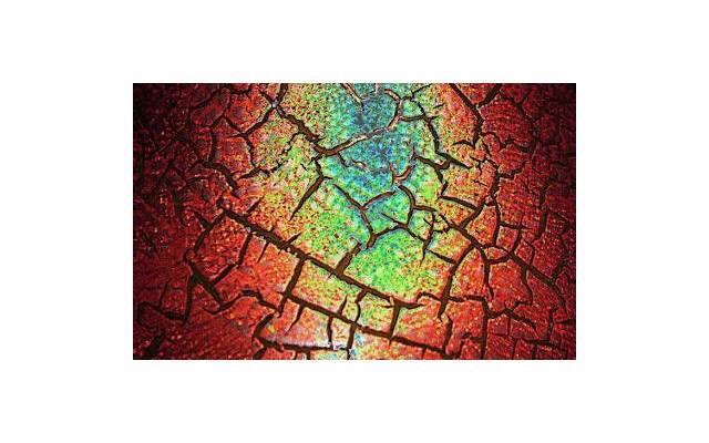 ​娶胖媳妇会得到哪些好处 第1张