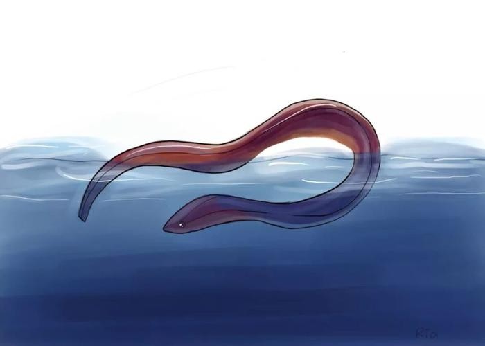 ​尼斯湖水怪，原来真相如此简单！ 第4张