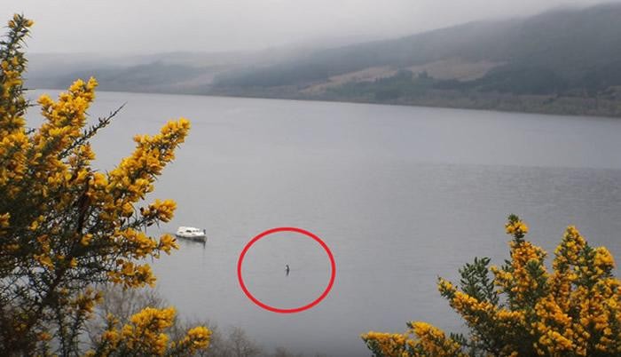 ​尼斯湖水怪，原来真相如此简单！ 第2张