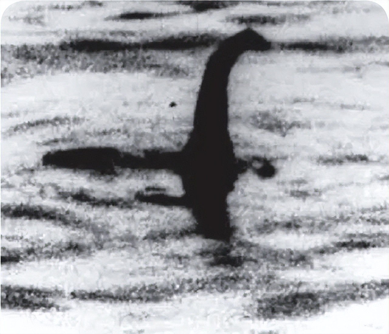 ​尼斯湖水怪，原来真相如此简单！ 第12张