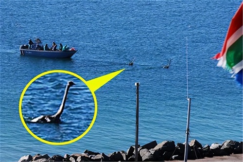 ​尼斯湖水怪，原来真相如此简单！ 第5张