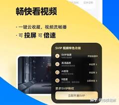 百度网盘vip到期后里面的内容会消失吗 第1张