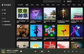 如何下载汽水音乐电脑版 第2张