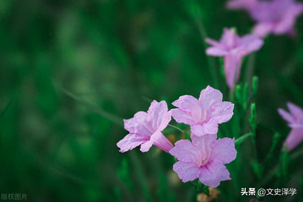 ​DeepSeek评出中国近现代最具有代表性的新诗诗人 第1张