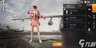 和平精英火箭少女101全出要多少钱 第1张