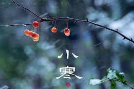 小寒节气会出现哪种自然现象 第2张 小寒节气会出现哪种自然现象 第2张