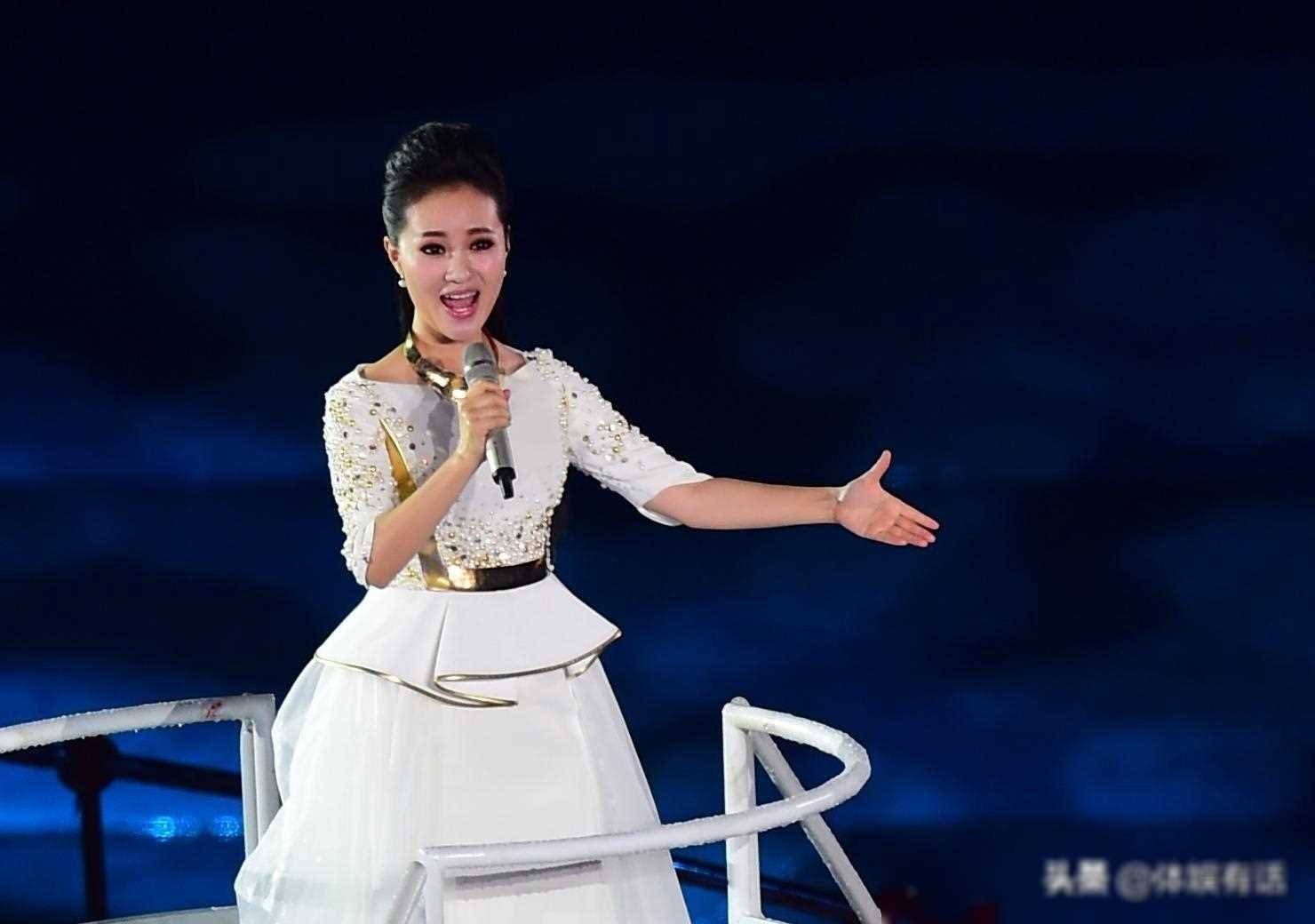 ​雷佳：华语乐坛的国家队佼佼者，传奇歌者的坚韧与执着 第6张