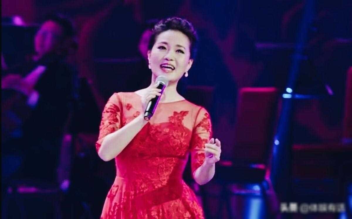 ​雷佳：华语乐坛的国家队佼佼者，传奇歌者的坚韧与执着 第14张