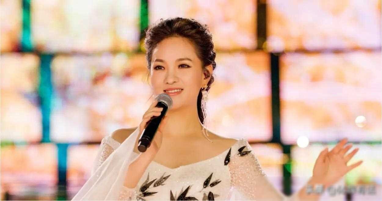 ​雷佳：华语乐坛的国家队佼佼者，传奇歌者的坚韧与执着 第24张