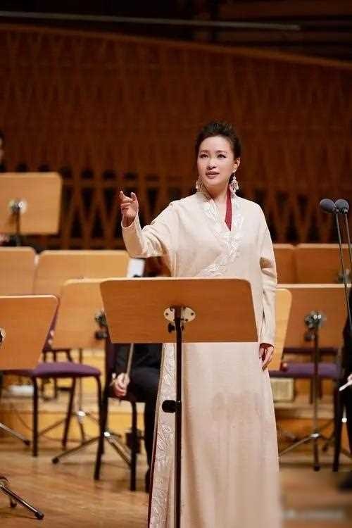 ​雷佳：华语乐坛的国家队佼佼者，传奇歌者的坚韧与执着 第27张