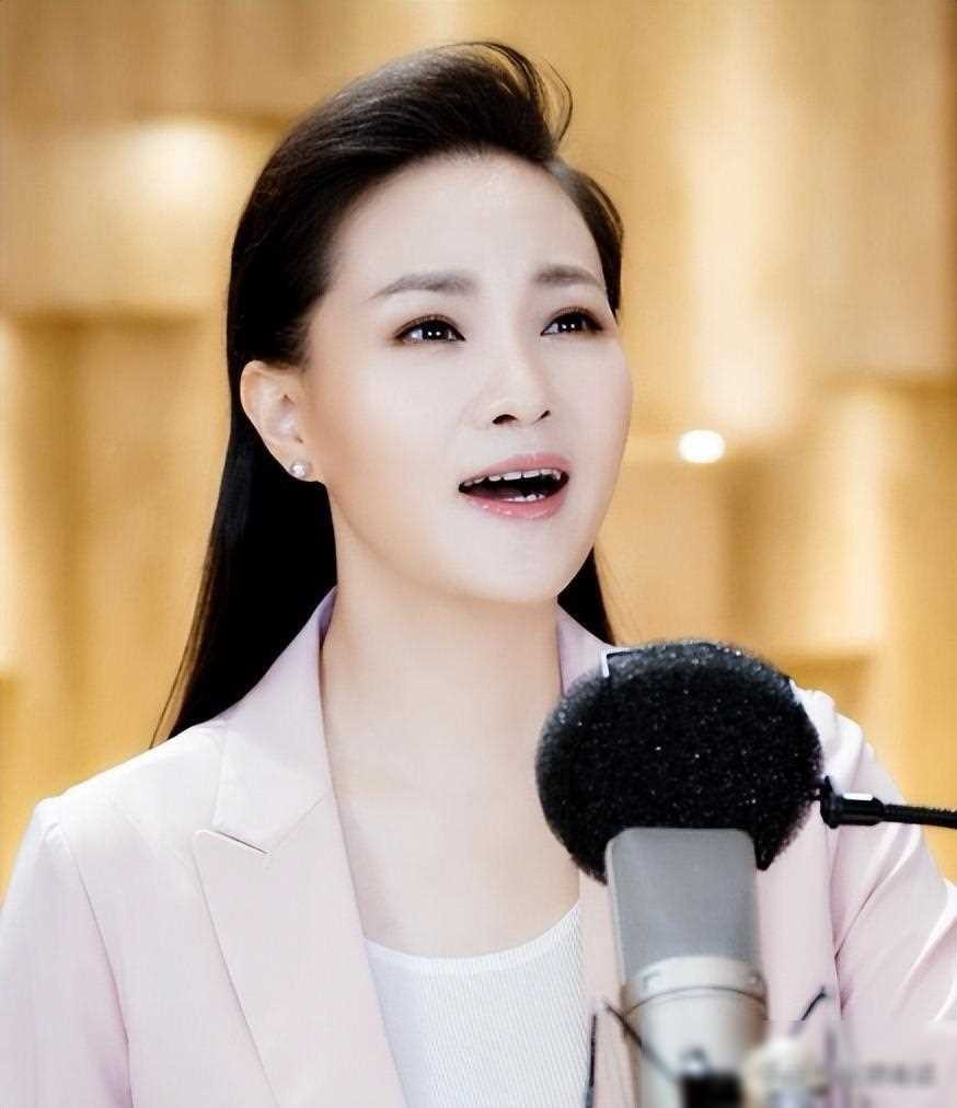 ​雷佳：华语乐坛的国家队佼佼者，传奇歌者的坚韧与执着 第9张