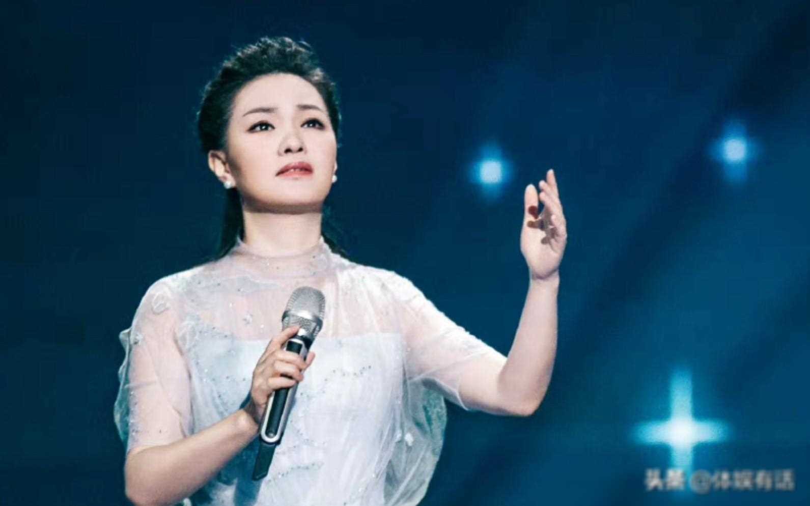 ​雷佳：华语乐坛的国家队佼佼者，传奇歌者的坚韧与执着 第8张