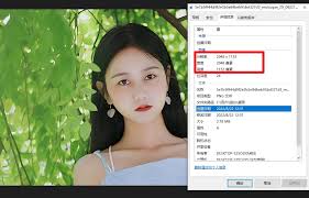 适合初学者的AI部署工具是什么 第1张 适合初学者的AI部署工具是什么 第1张