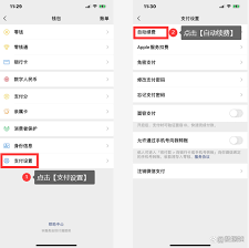 苹果手机如何关闭自动续费 第1张