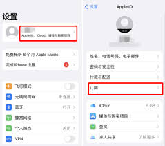 苹果手机如何关闭自动续费 第3张
