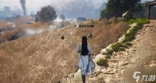 燕云十六声鹖尾在哪刷 第1张