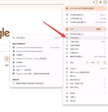 谷歌浏览器怎么查看历史记录 第2张
