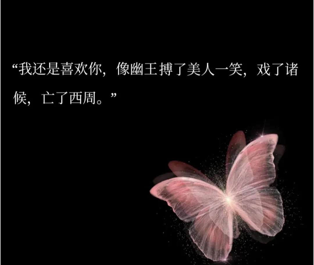 专属文科生的极致浪漫文案 第1张 专属文科生的极致浪漫文案 第1张