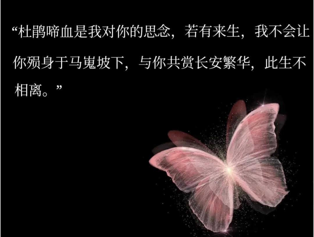 专属文科生的极致浪漫文案 第4张 专属文科生的极致浪漫文案 第4张