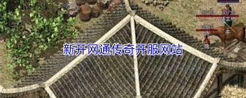 新开传奇开服网站是什么 第2张