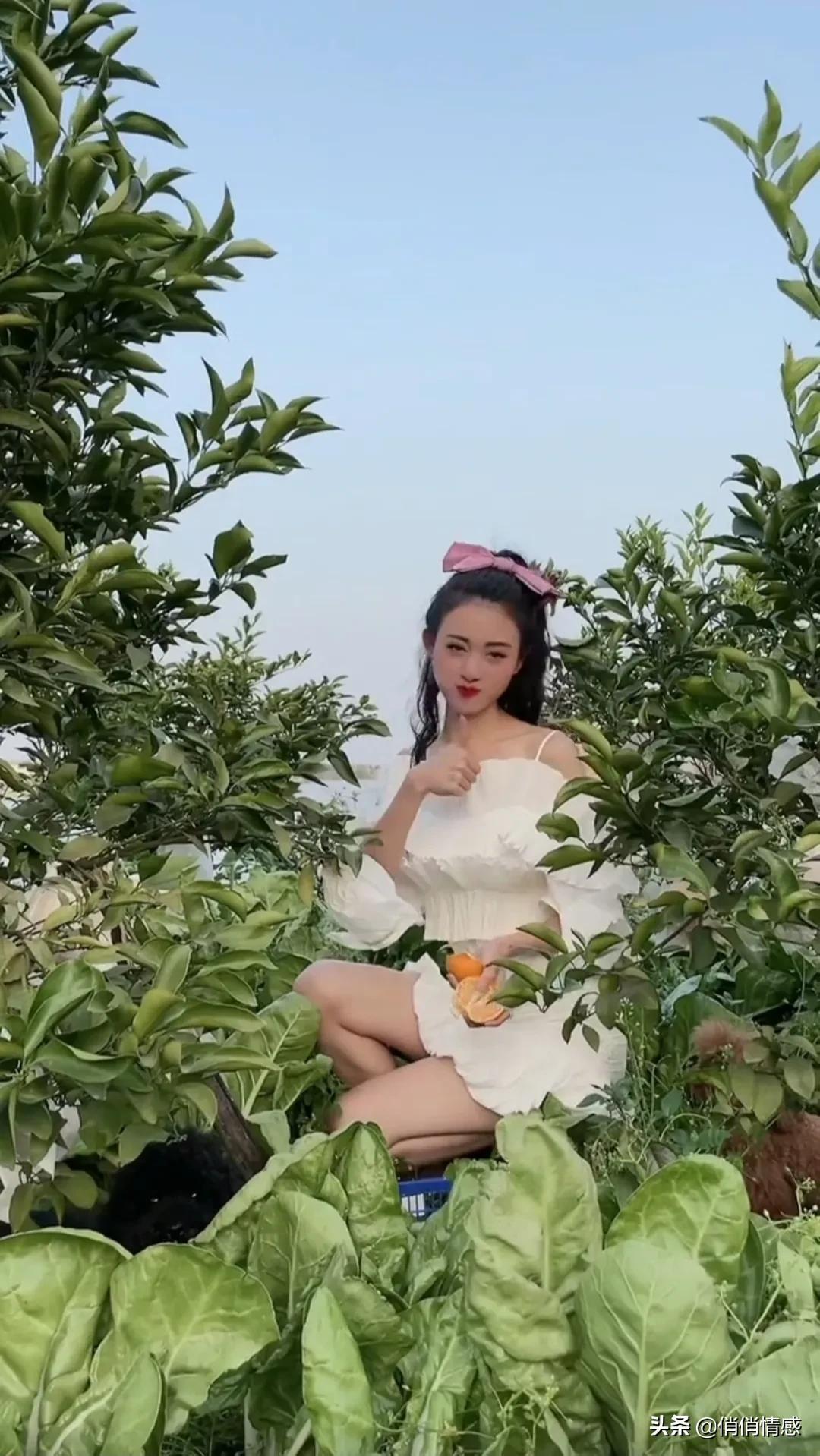 ​贵州为什么称＂黔＂ 第3张