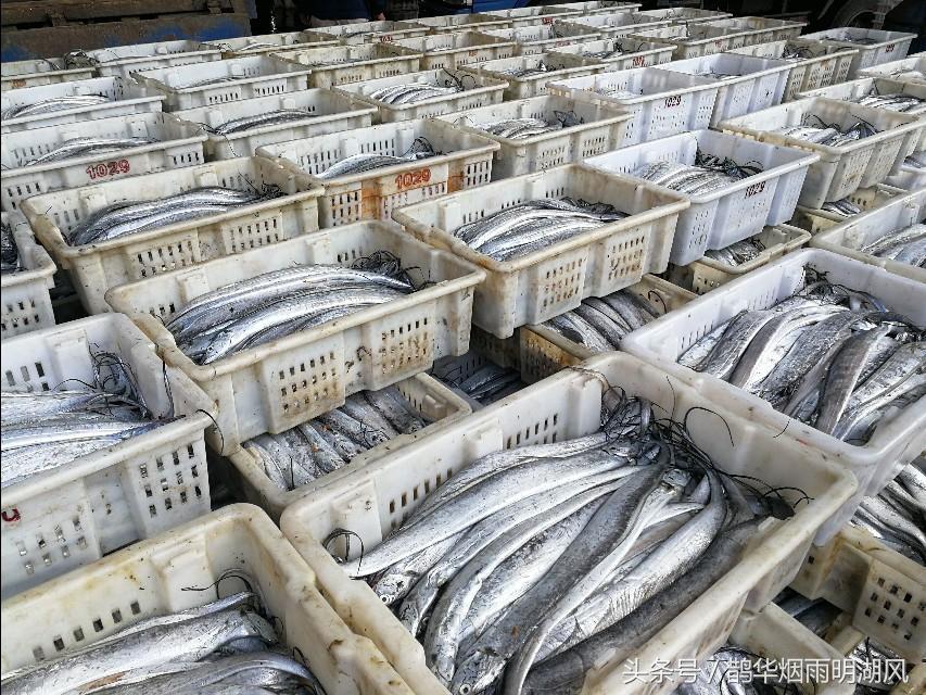 ​据说这是日照最大的海鲜批发市场，你最喜欢吃哪个？ 第2张